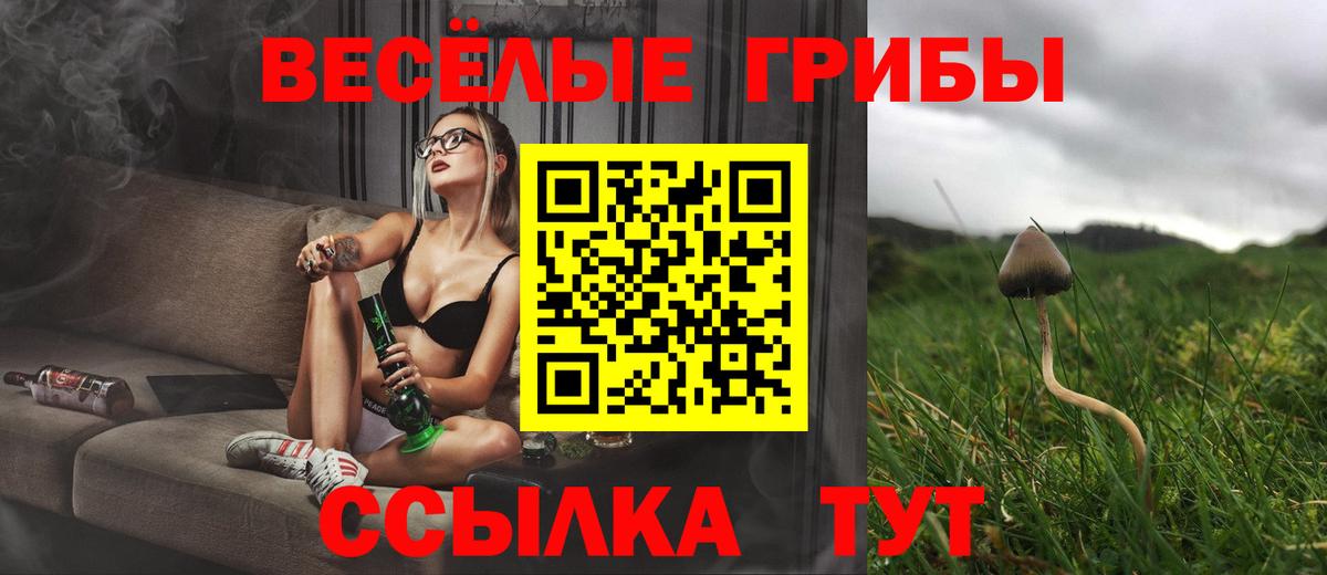 Псилоцибиновые грибы Psilocybine cubensis Кунгур